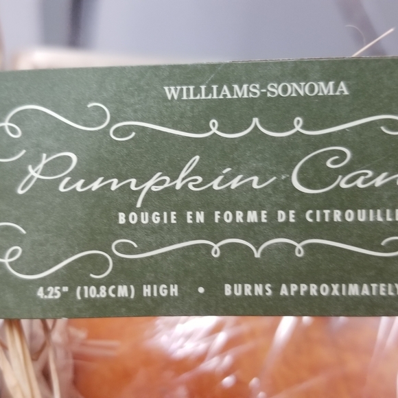 Williams Sonoma Hand Painted Pumpkin Shaped Candle - Picture 6 of 7